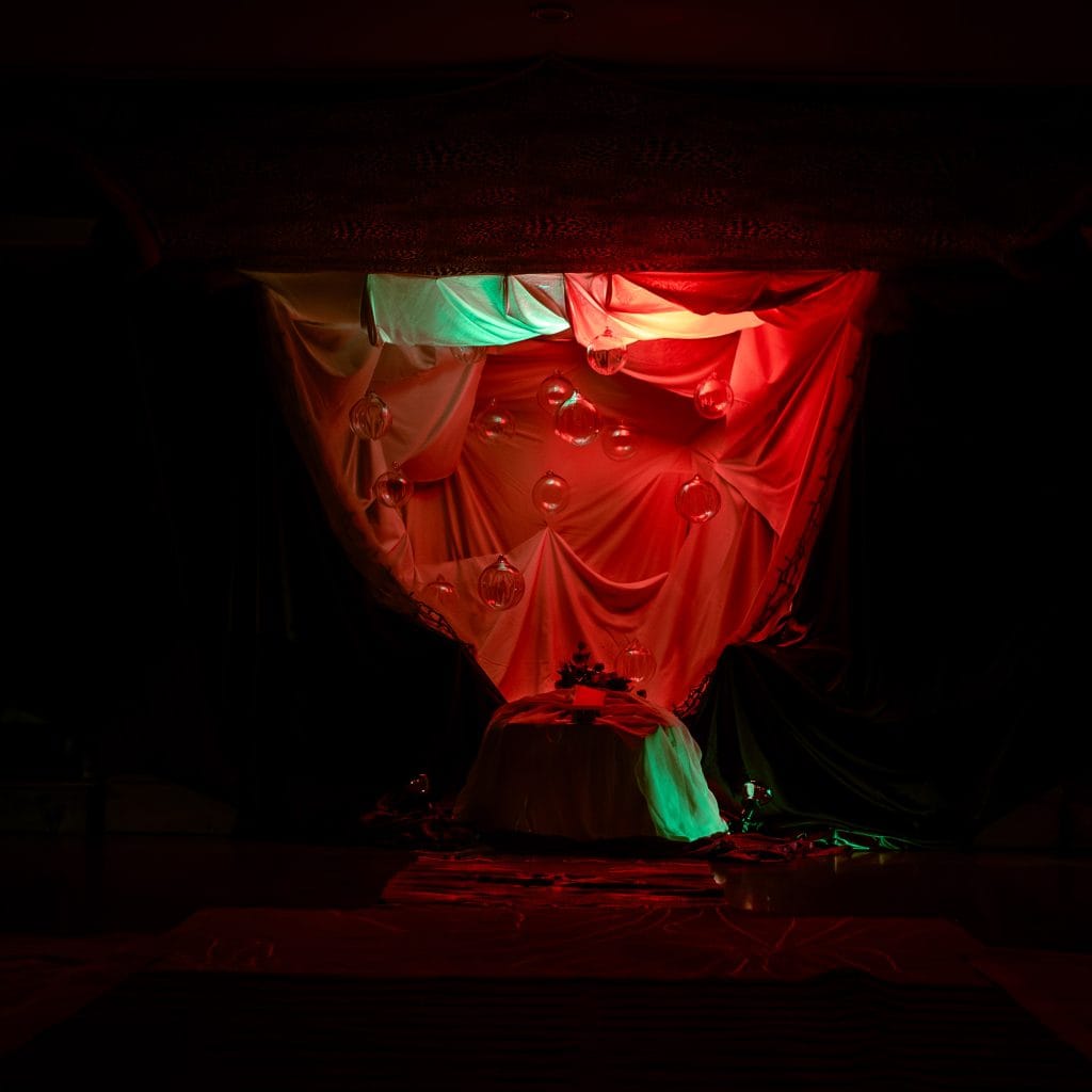 Dark, artistic photograph captured by Professional Photographer in Montreal, Nicholas Raymond.